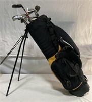Nice Set Of Titleist Golf Cubs With Bag.