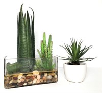 Realistic Cactus and Succulent Décor