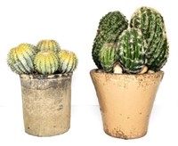 Realistic Cacti Décor in Ceramic Pots