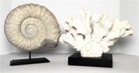Nautilus Shell & Coral Décor on Stands