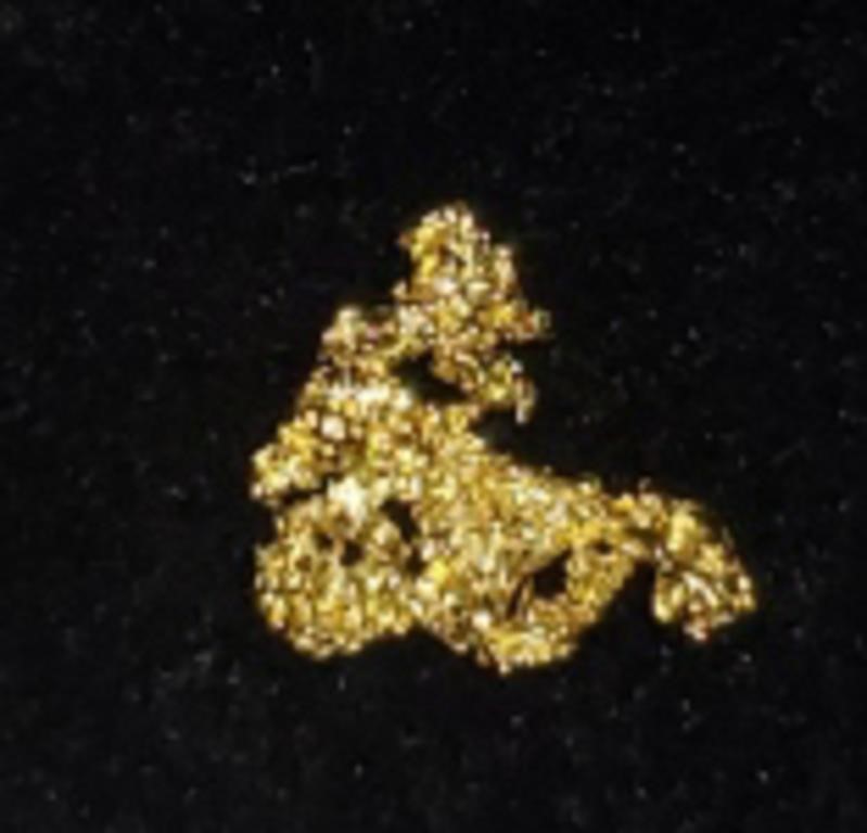 Gold Nugget #1