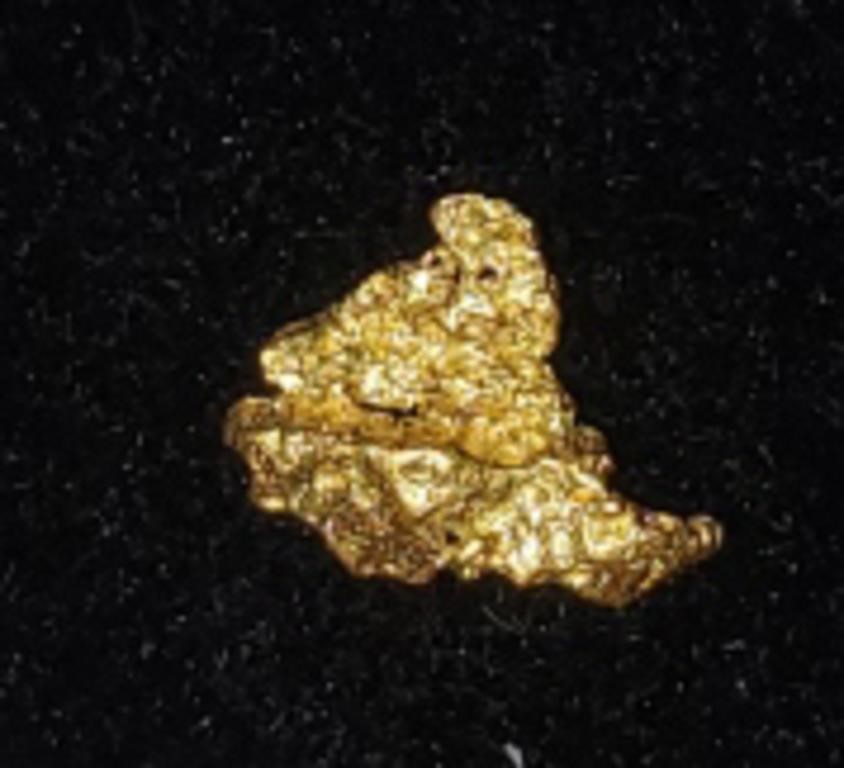Gold Nugget #2