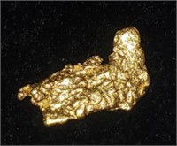 Gold Nugget #4