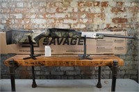 Savage Arms Predator .243 Rifle