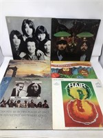 Vintage LP vinyl records Beach boys hair hollies