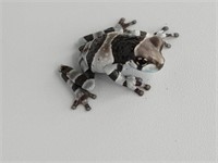 Baby Brazil milk tree frog