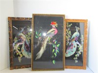Mexican Featherwork Framed Photo Wall Decor