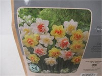 45-Pk Tasc Narcissus Double Assorted Bulbs