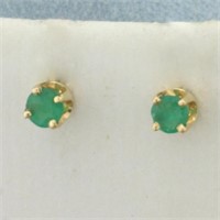Natural Emerald Stud Earrings in 14k Yellow Gold