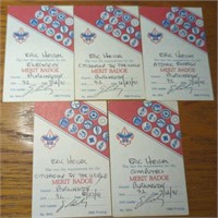 Lot of five boy scout merit badge certificates