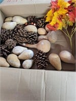 Box of pine cones and gourds