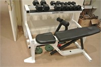 Exercise Weights And Bench