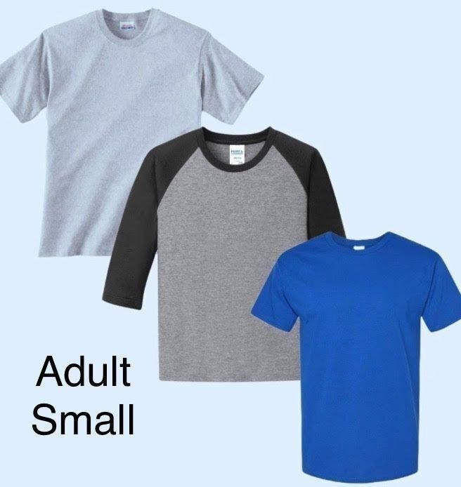 Lot of 3 - Hanes Adult Sized SMALL Tees
