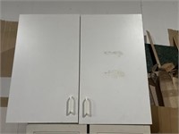 Two door wall utility cabinet