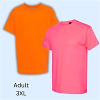 Lot of 2 - Hanes Adult Unisex Sized 2XL Tees