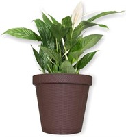 Elly Décor Round Self Watering Planters - 12"