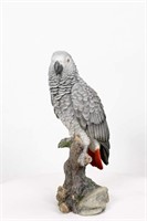 Grey Gabon Parrot ON Stump-NOTE