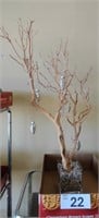Manzanita Wood in Glass Planter w/Ornaments