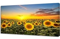 Wall Art Canvas Painting Beautiful sunset over