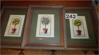 (3) Framed Lemon Tree Prints