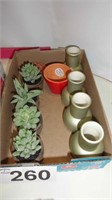 Artificial Succulents / Vases Lot