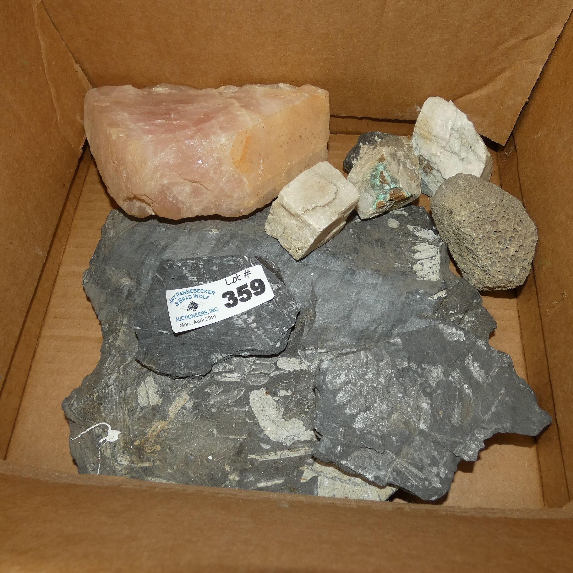 Various Rocks, Minerals, & Fern Fossils - Etc