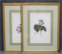Azalea & Sparmannia Prints / 2 pc