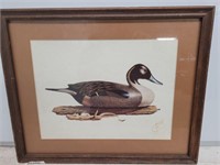 G FISHER DUCK PRINT SIGNED 24X18