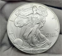 2002 Silver Eagle BU