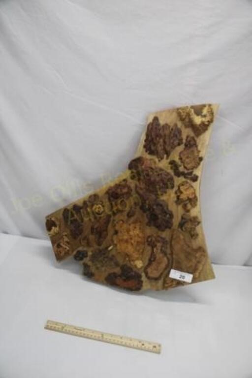 Burl Display