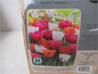 50-Pc Tasc Tulipa Triumph Orange/Pink/White Bulbs