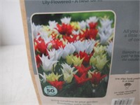 50-Pc Tasc Tulipa Lily-Flowered Tres Chic Festival