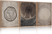 Beige Tree Ring Art  Wood - 16x24x3