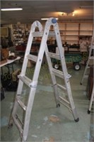 Multi Position Ladder