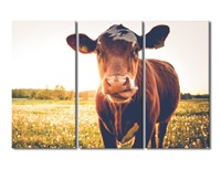 3 Piece Cow Wall Art, Happy Cow On A Meadow