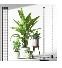 grow lights for indoor plants with stand,