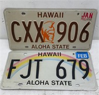 Pair of Plates - 1993 Hawaii FJT679