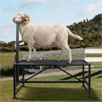 Belinova Trimming Stand for Sheep and Goats with A