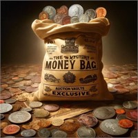 "The Mystery Money Bag" - an exhilarating treasu