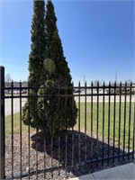 (246) LF Kypro Steel Classic Spiked Fence