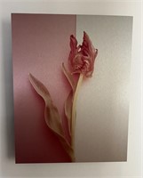 Deborah Shenck Metallic Iris Raised Frame Art