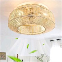 zheshirui 20" Boho Caged Ceiling Fans with Lights