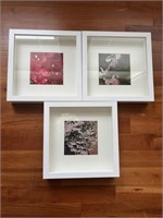 Lot of 3 Framed Floral IKEA Prints
