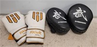 HAWK BOXING GLOVES WITH HIT PADS