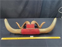 Unique Large Steer & Ram Horns