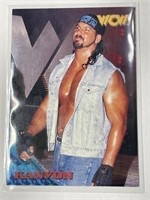 1998 Topps WCW/nWo #46 Kanyon