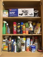 A Collection Of Cleaning Supplies