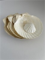 Lot of Vintage Coquilles St Jacques Shells