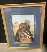 Golden Retriever Hunting Dog Framed Wall Photo