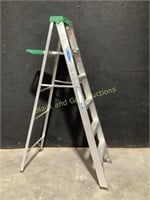 Werner 3'10" Platform Painters Ladder